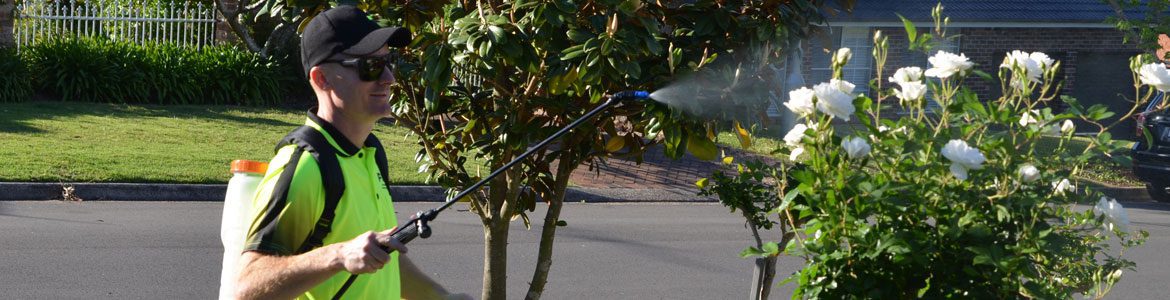 lawn-garden-bug-spraying